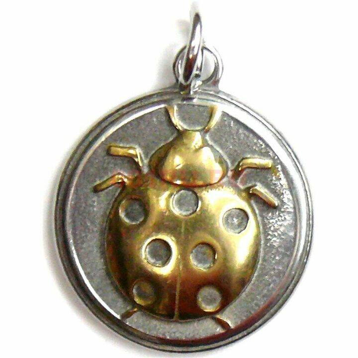 amulet ladybug - brings financial luck