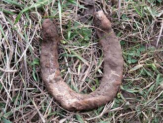 found horseshoe will serve for making a talisman
